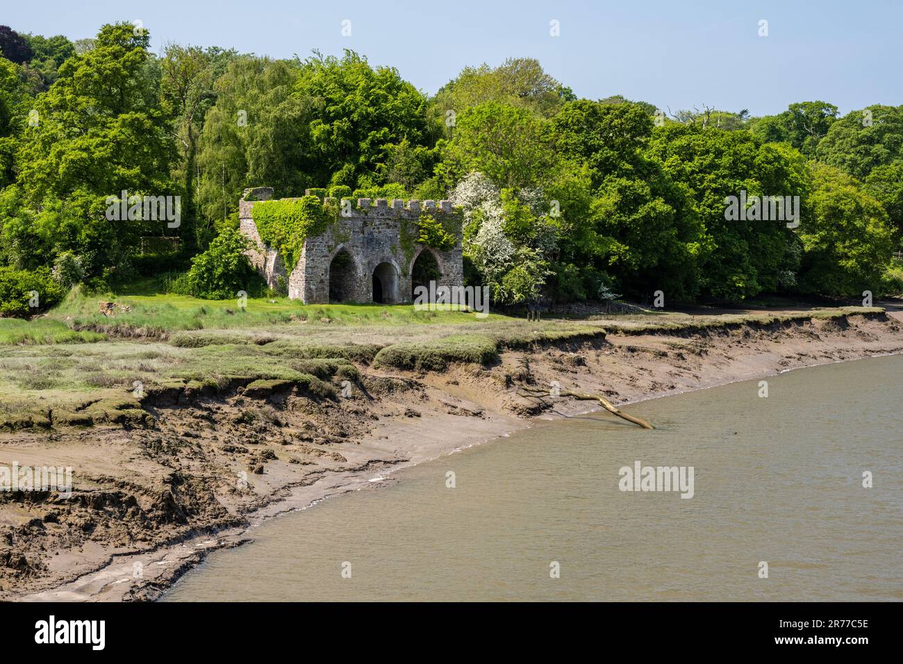 Le rovine di vecchie fornaci di calce si trovano sulle rive dell'estuario del fiume Torridge a Halsannery vicino a Bideford sul Tarka Trail nel Devon settentrionale. Foto Stock