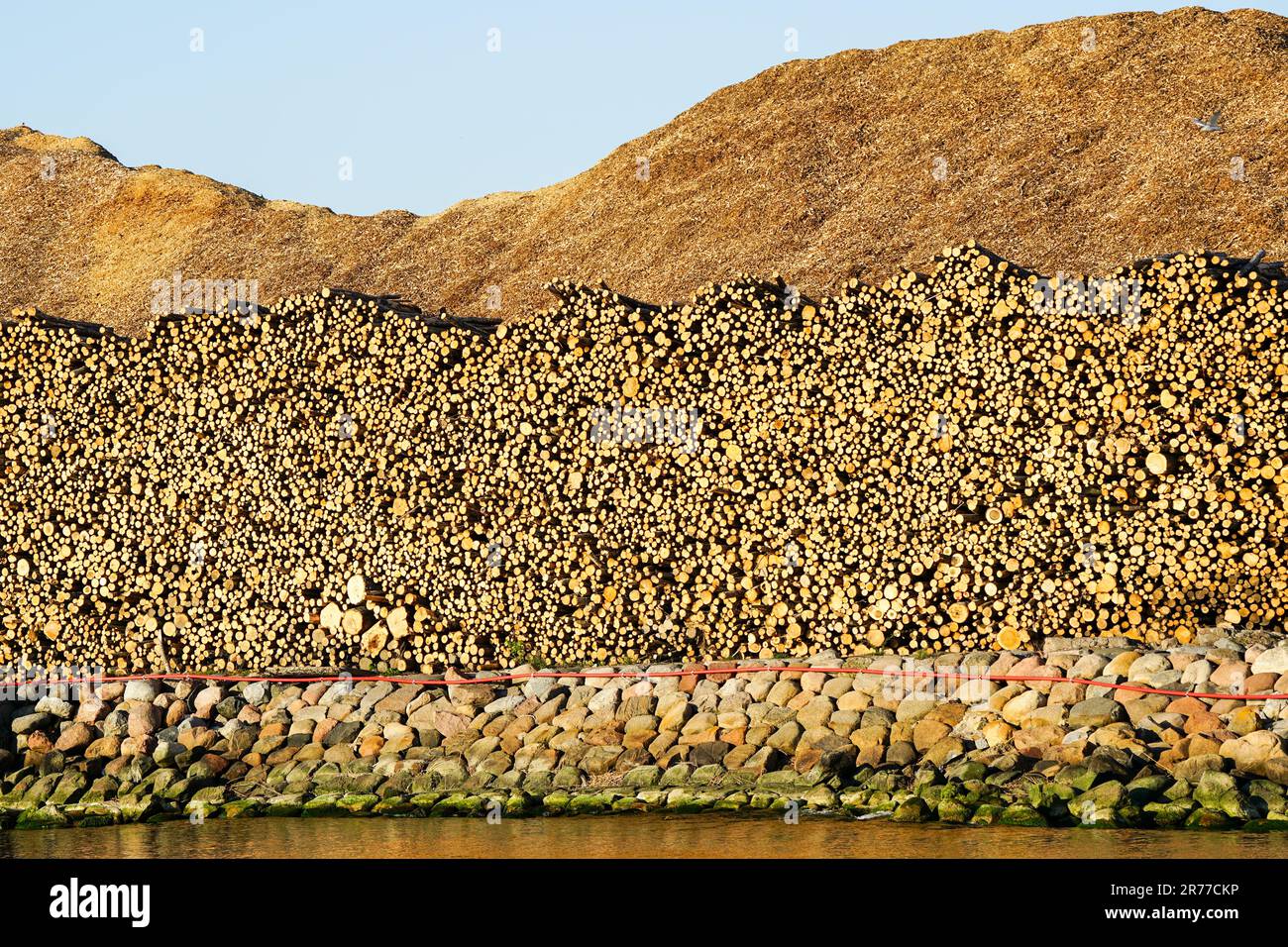 Una grande pila di tronchi e trucioli di legno, una fonte sostenibile di energia termica rinnovabile Foto Stock