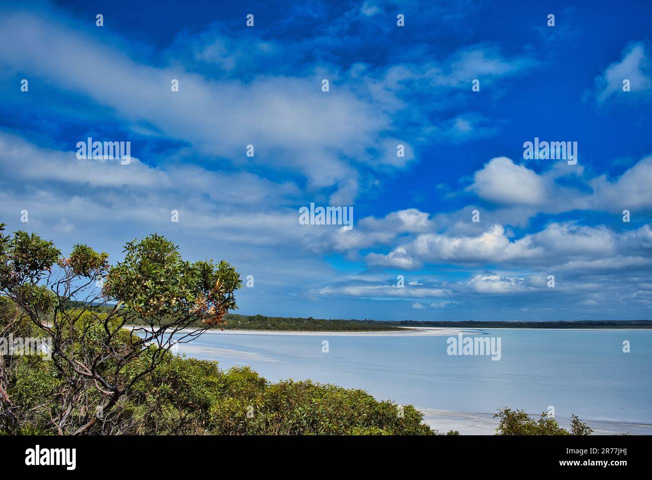 Il Lago Rosa in Esperance, costa sud dell'Australia Occidentale, circondato da vegetazione costiera bij. Ha perso il suo colore rosa a causa dei cambiamenti di salinità. Foto Stock