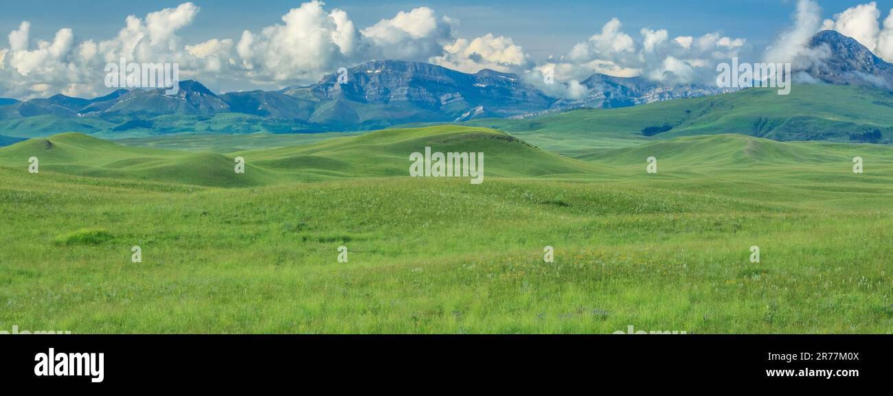 panorama della prateria sotto haystack butte e la montagna del vaporetto vicino ad augusta, montana Foto Stock