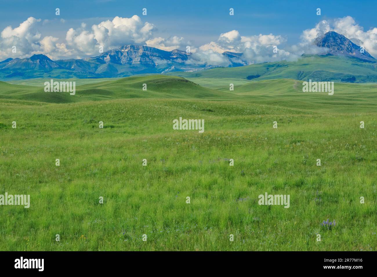 prairie sotto haystack butte e la montagna del vaporetto vicino ad augusta, montana Foto Stock