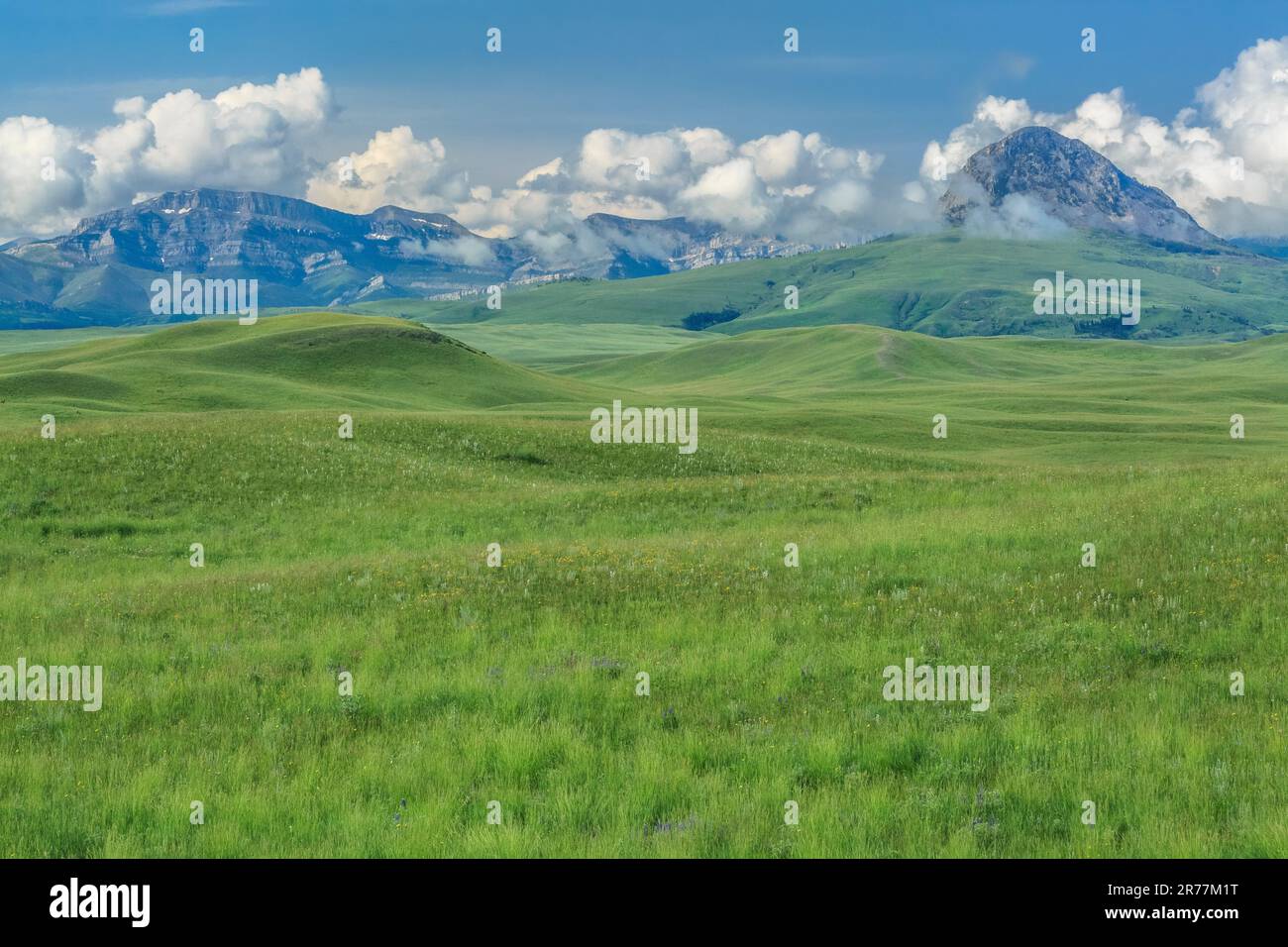 prairie sotto haystack butte e la montagna del vaporetto vicino ad augusta, montana Foto Stock