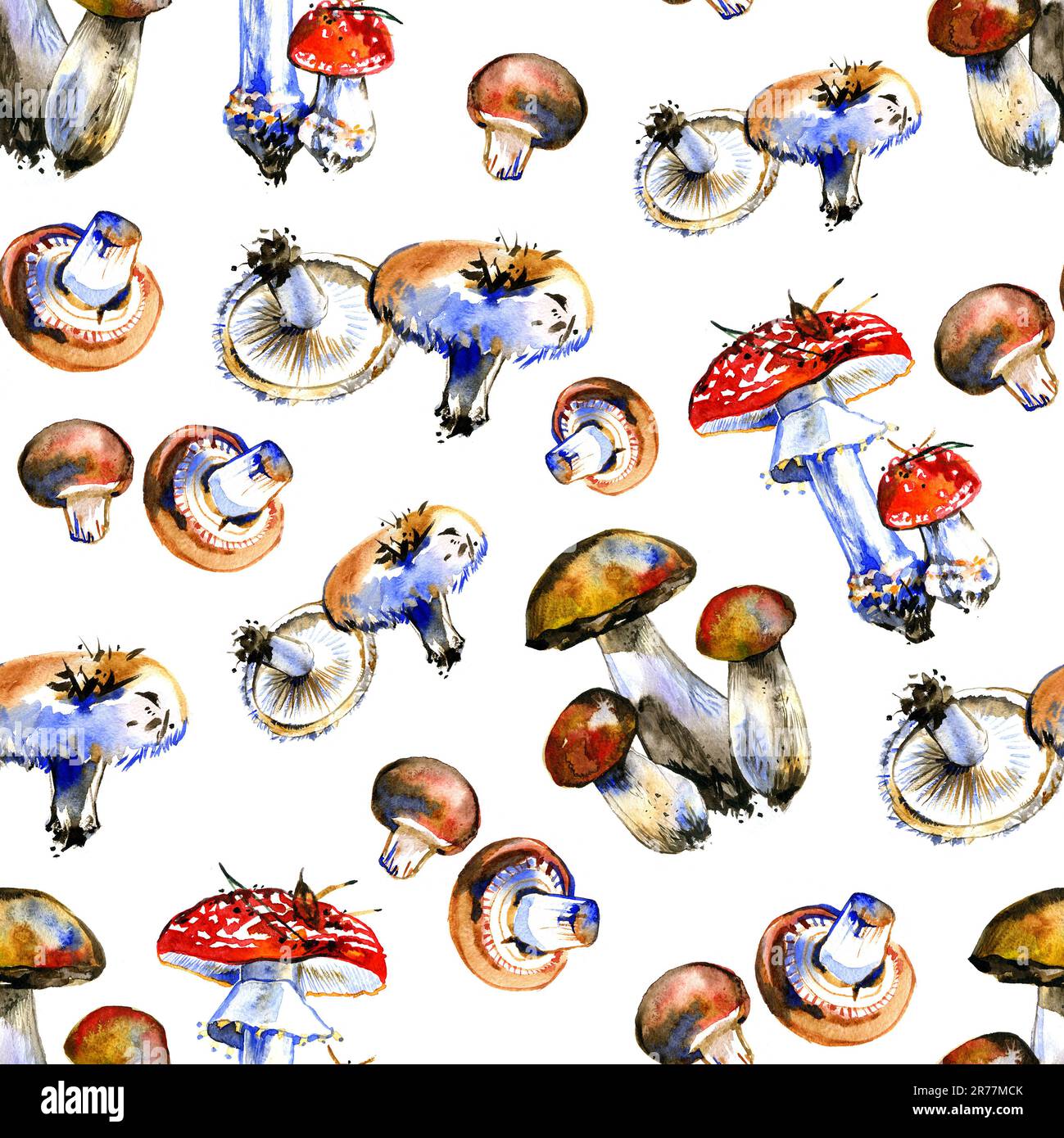 motivo senza cuciture con funghi da disegno acquerello su sfondo bianco. Foto Stock