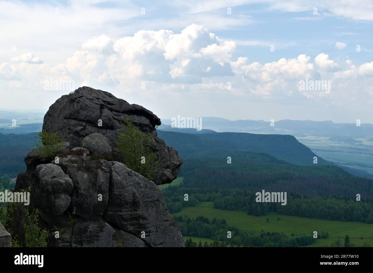 Monkey Rock, collina di Szczeliniec, Polonia Foto Stock