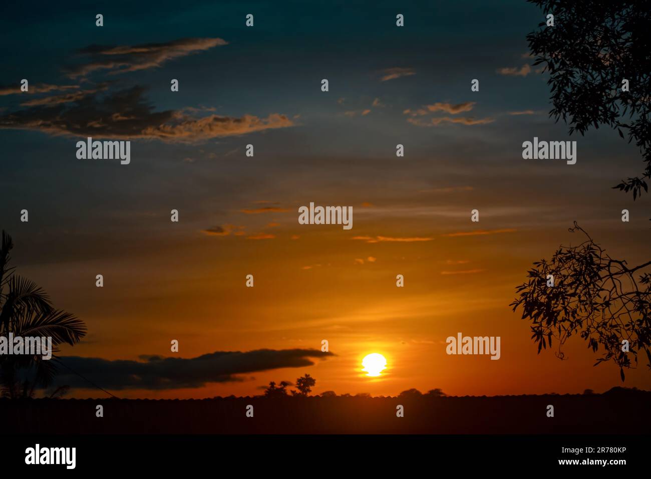 tramonto nella foresta, magnifico tramonto, con cielo blu, arancione e rosso e la silhouette di rami di albero e foglie sul lato Foto Stock
