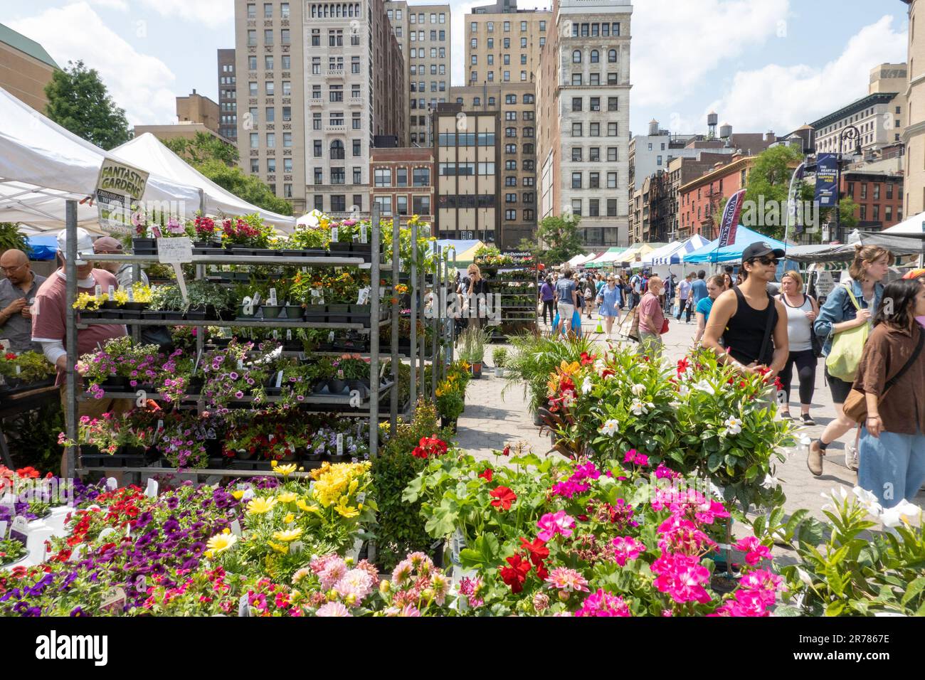 Union Square Greenmarket, New York, 2023 Foto Stock