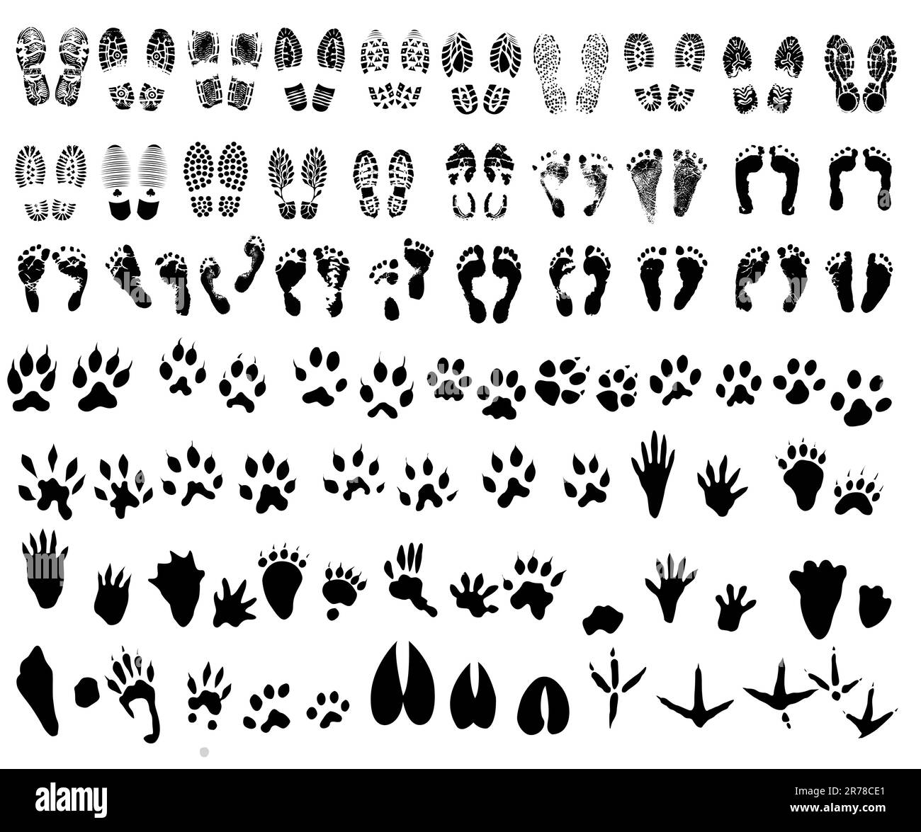 Collezione di stampe di scarpe, impronte, percorsi per animali e uccelli Illustrazione Vettoriale