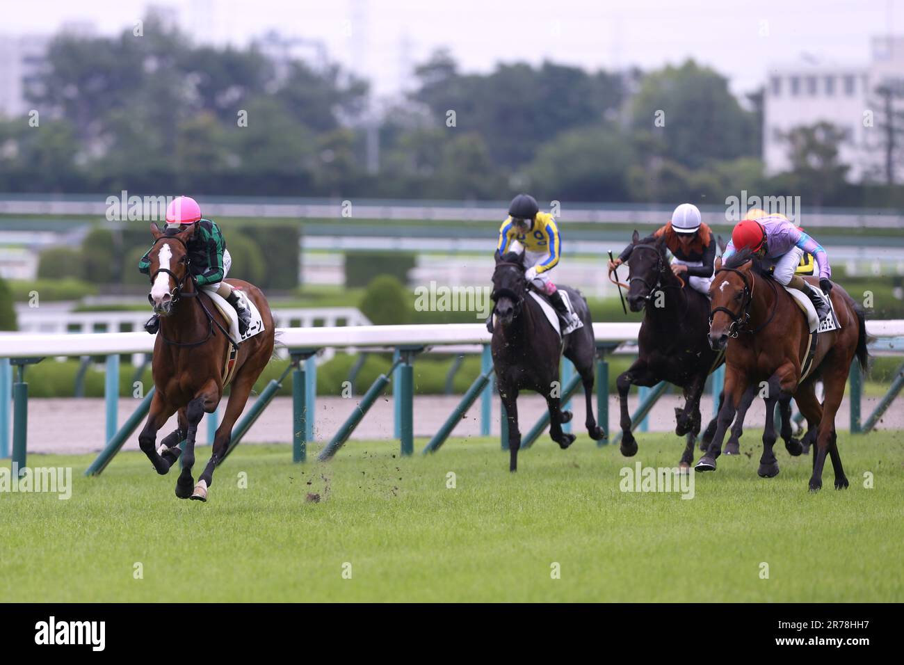 Hyogo, Giappone. 10th giugno, 2023. 9/Hihin/Manabu Sakai Jockey 5 /Gourmandise/Kota Fujioka Jockey 3 /Boiler Maker/Mirai Iwata Jockey 2 /Namura Ahab/Ryuji Wada Jockey Hanshin Racecourse in Hyogo, Giappone, 10 giugno 2023. 2023/06/10 HANSHIN 05R. Credit: Eiichi Yamane/AFLO/Alamy Live News Foto Stock