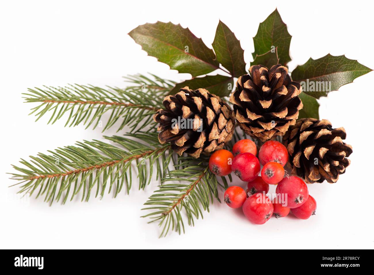 Natale bordo stagionale di agrifoglio, mistletoe, rametti con coni di pino su sfondo bianco Foto Stock