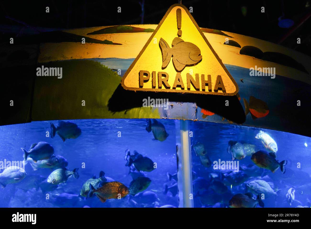 Avvertenza acquario infestato da piranha pieno di pericolo Foto Stock