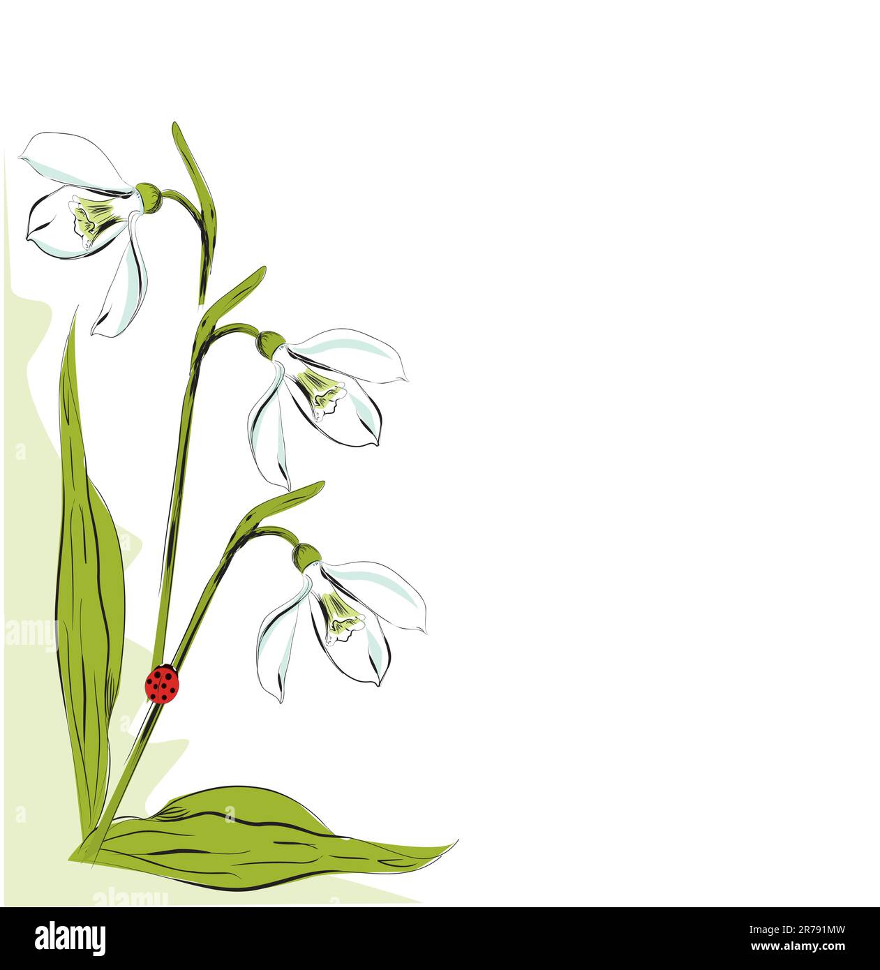 Elemento di design floreale verticale con goccia di neve Illustrazione Vettoriale