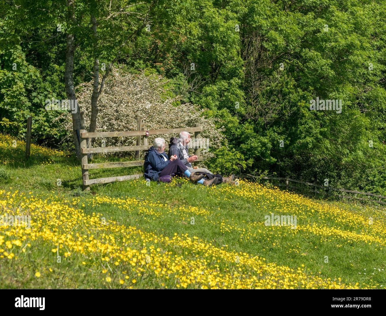 Coppie anziane che godono di un picnic all'aperto tra coppe gialle sulle pendici di Burrough Hill nella campagna del Leicestershire, Inghilterra, Regno Unito Foto Stock