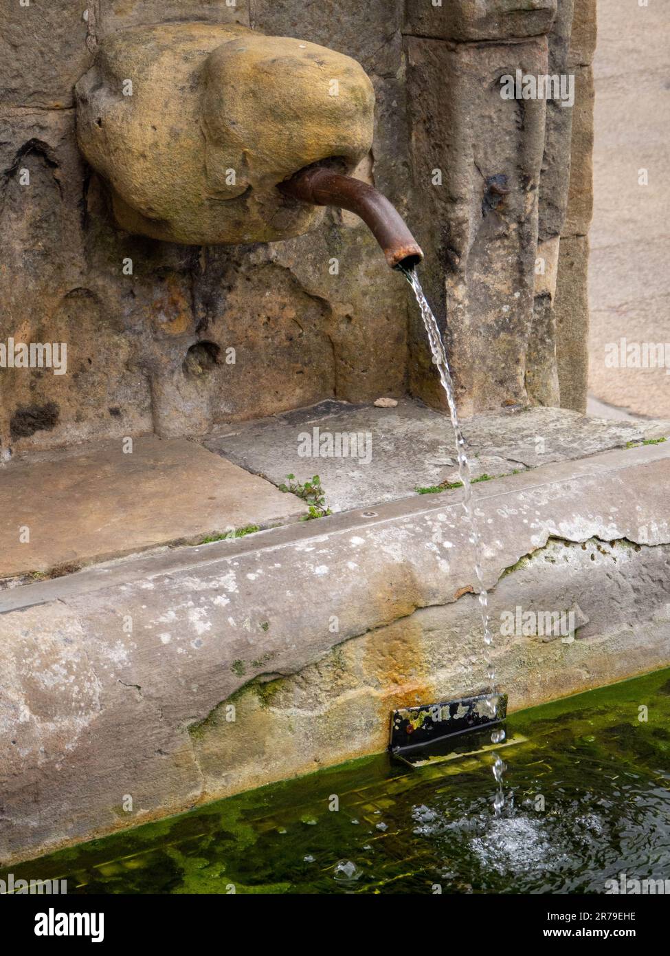 Fontana nella città mercato di Alnwick, Northumberland, Regno Unito in stile rinascimentale italiano dotato da Adam Robertson. Foto Stock