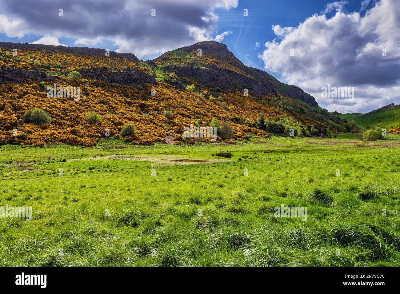 Paesaggio primaverile nell'Holyrood Park con Arthur's Seat, un antico vulcano estinto con cespugli in fiore sul pendio e sul prato sottostante a Edimburgo, Scot Foto Stock
