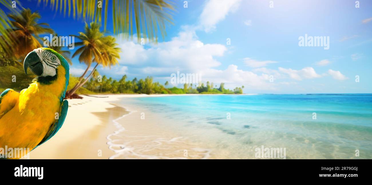 vacanze estive sulla spiaggia di sabbia tropicale; banner design con spazio copia Foto Stock