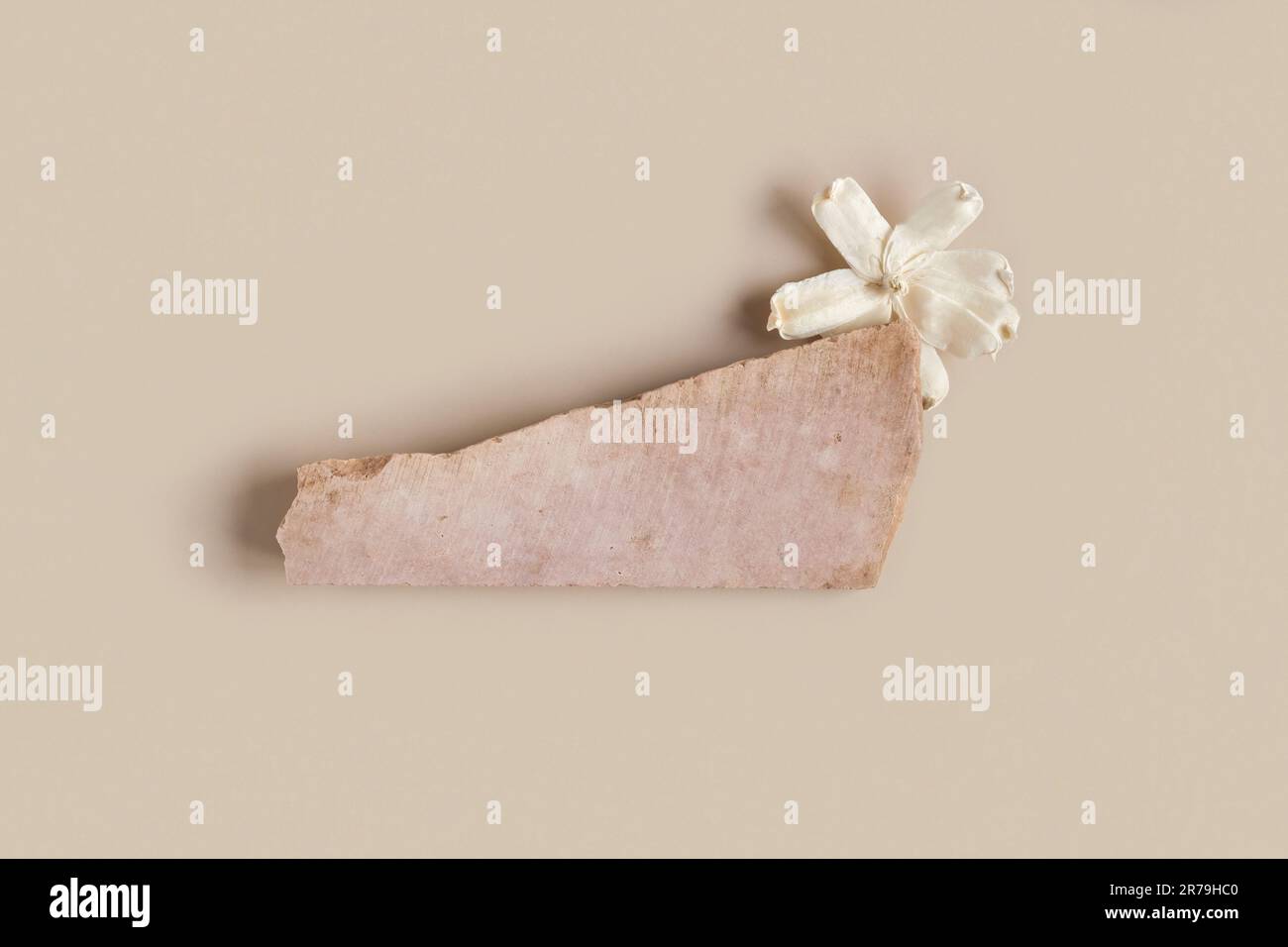 Podio in pietra su sfondo beige per cosmetici o il tuo logo. Piedistallo in pietra naturale con fiore secco. I prodotti sono esposti con texture dolomitica. Trendy te Foto Stock