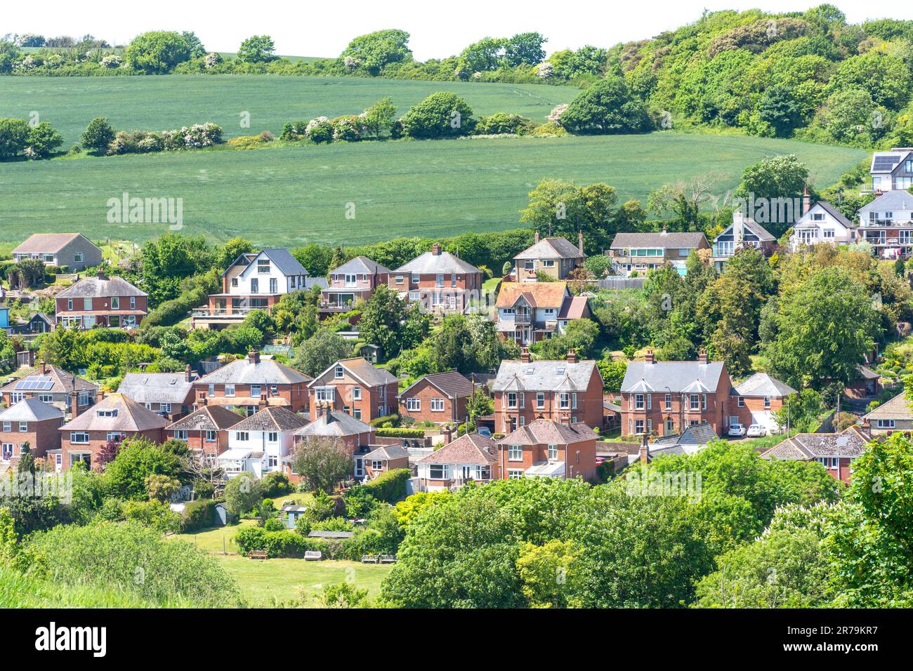 Case circondate da campagna, Carisbrooke, Isola di Wight, Inghilterra, Regno Unito Foto Stock