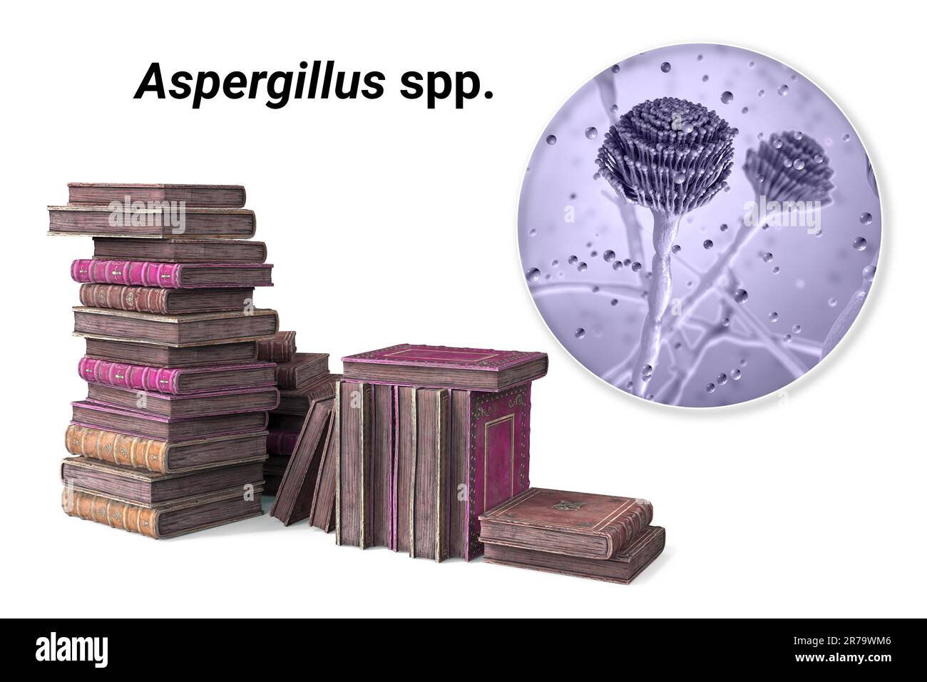 Muffa in libri vecchi, illustrazione concettuale 3D. Libri antichi e primo piano di funghi muffa Aspergillus, il fungo microscopico più comune trovato in Foto Stock