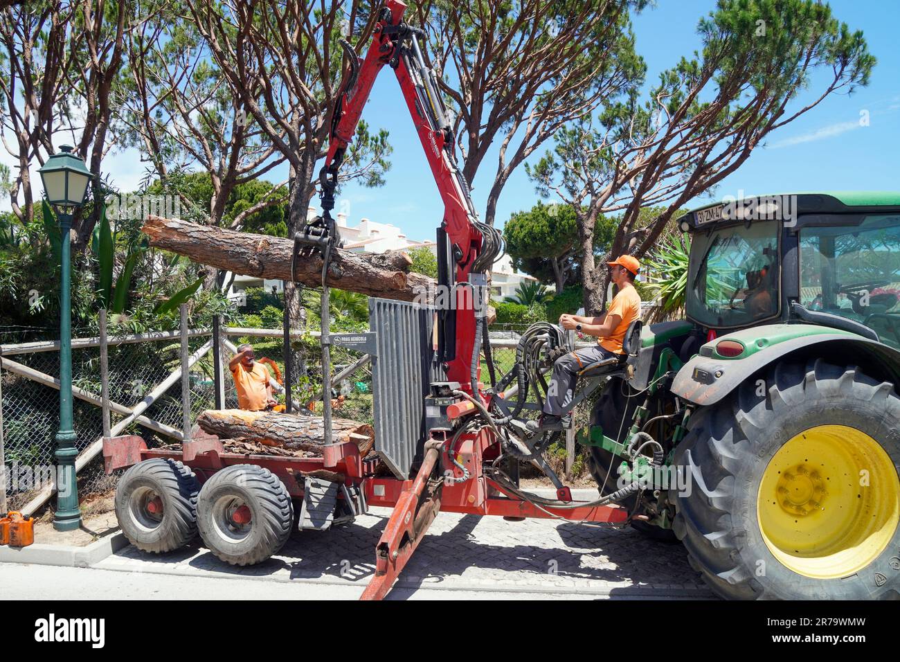 I chirurghi degli alberi rimuovono gli alberi tagliati e abbattuti usando un trattore e un braccio di presa che mette i tronchi su un rimorchio, Algarve, Portogallo Foto Stock