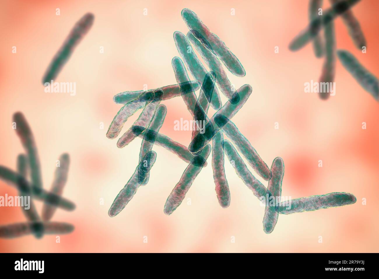 Mycobacterium ulcerans, 3D illustrazione. L'agente causativo dell'ulcera di Buruli, una malattia debilitante cronica che colpisce la pelle e i tessuti sottocutanei f Foto Stock