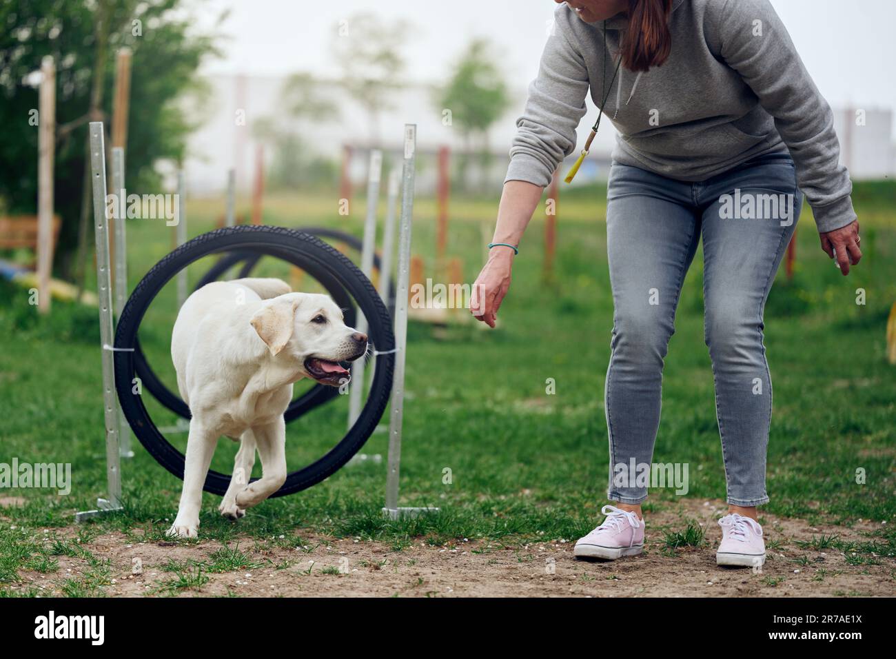 Donna padrona giocare con il suo cane agilità a piedi attraverso anelli o pneumatici come un ostacolo Foto Stock