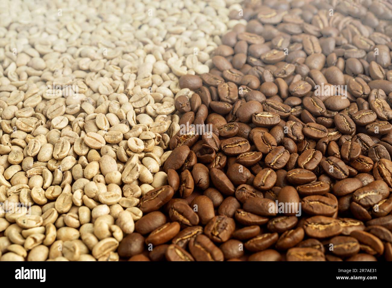Immagine ravvicinata di un cucchiaio che mescola una miscela di chicchi di caffè appena tostati, con la massima attenzione al cucchiaio e ai chicchi Foto Stock