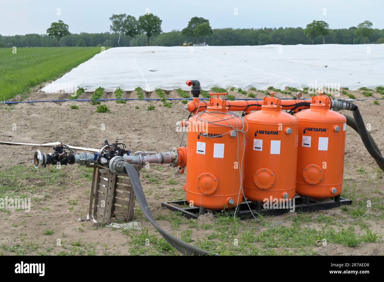 GERMANIA, coltivazione di patate con lamina di plastica e irrigazione a goccia per adottare siccità e cambiamenti climatici, sistema di irrigazione israeliano di NETAFIM / DEUTSCHLAND, Gifhorn, Kartoffelanbau, effiziente Wassernutzung als Antwort auf den Klimawandel, Frühkartoffeln mit Folien-Abdeckung und Tröpfchenbewässerung der israelischen Firma NETAFIM Foto Stock