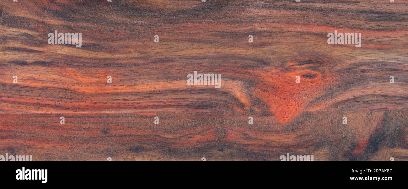 Superficie in legno di palissandro Siam con motivo naturale Foto Stock