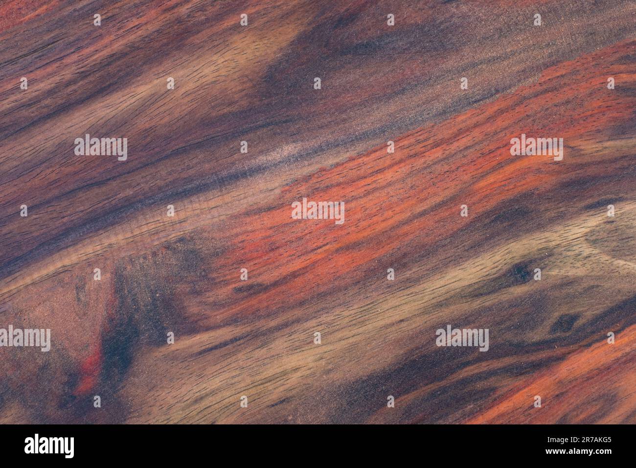 Superficie in legno di palissandro Siam con motivo naturale Foto Stock