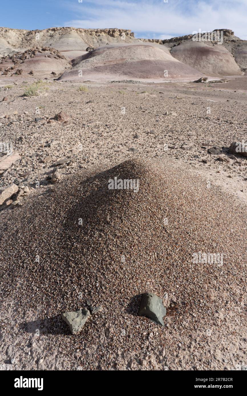 Un tumulo di formiche di Ante di Harvester Occidentale, Pogonomyrmex occidentalis, nel deserto di Caineville vicino Hanksville, Utah. Foto Stock