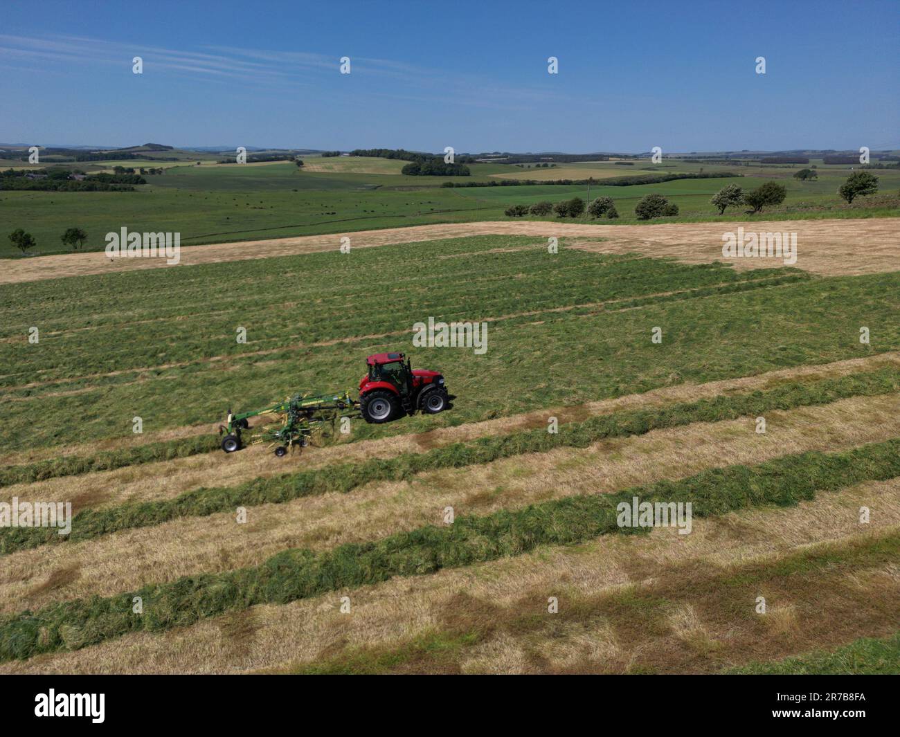 Greenlaw, Regno Unito. 14th giugno, 2023. Grass Demo Day, giornata di dimostrazione con CASE IH & KRONE Agriculture a Rumbleton Law, Greenlaw. G Marshall Tractors Ltd ha ospitato l'evento dimostrativo sotto la luce del sole nello Scottish Borders Credit: Rob Gray/Alamy Live News Foto Stock