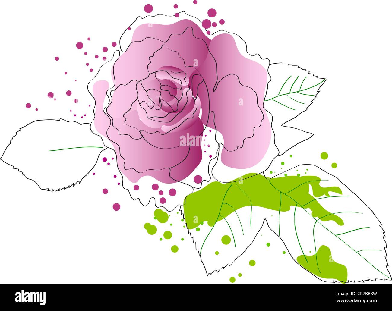splendida rosa viola in fiore su sfondo bianco Illustrazione Vettoriale
