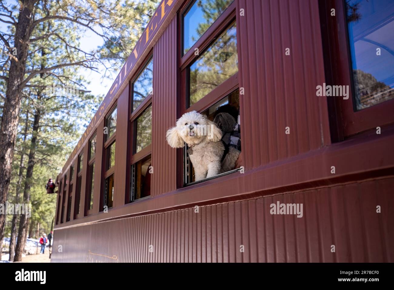 La ferrovia a scartamento ridotto Durango & Silverton trasporta i passeggeri attraverso il paesaggio montano della San Juan National Forest in Colorado. Foto Stock