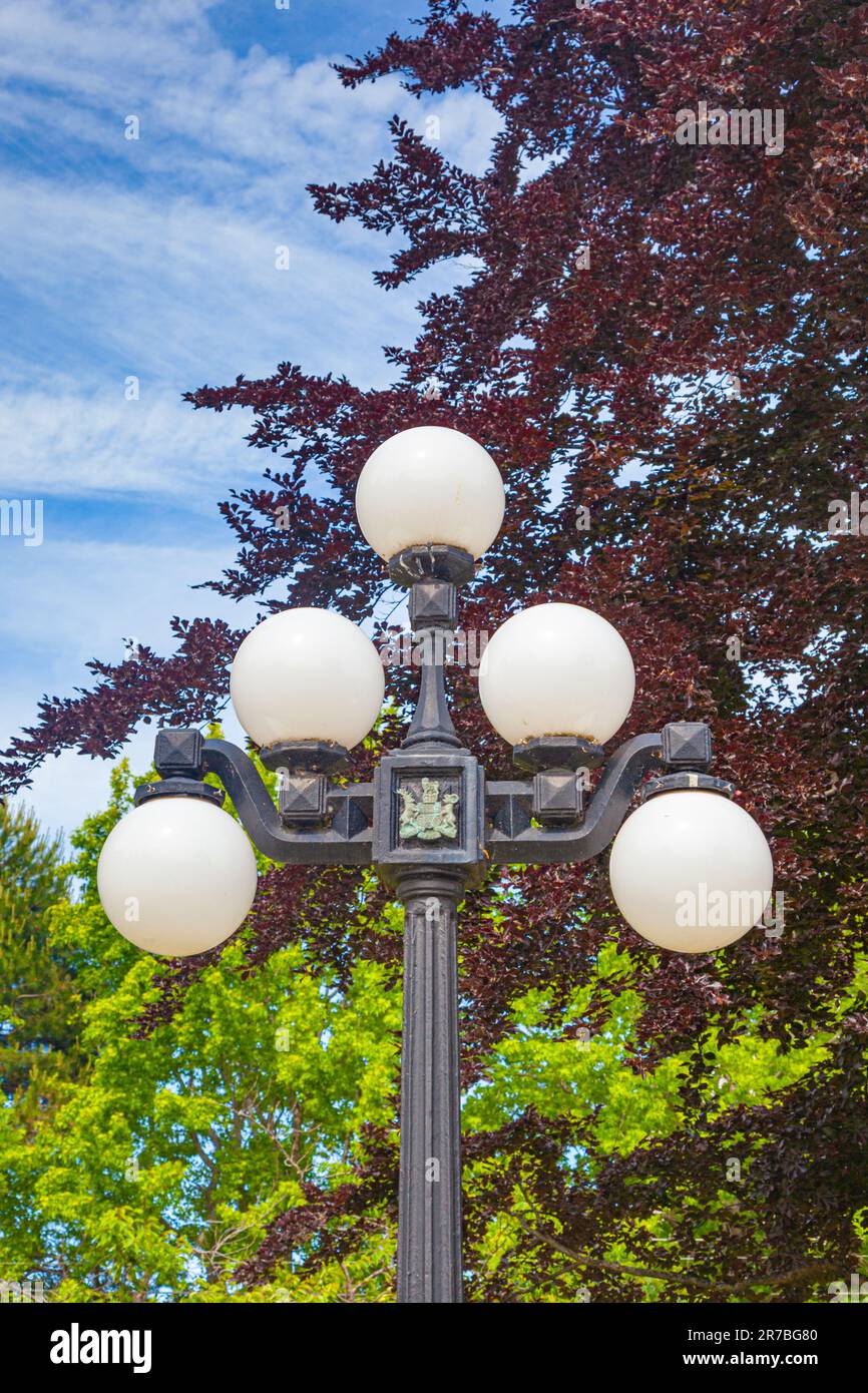 Forma dell'illuminazione stradale associata alla città di Victoria nella Columbia Britannica, Canada Foto Stock
