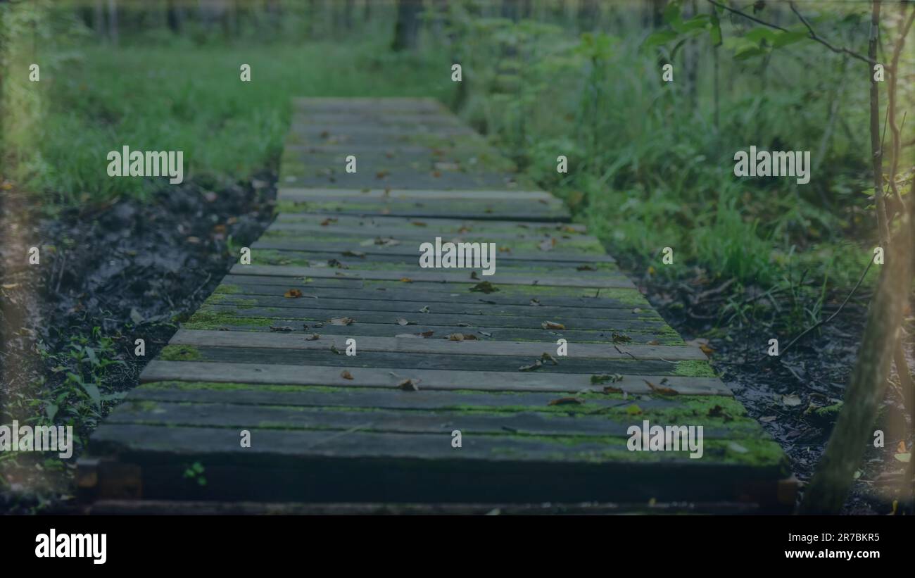 Modello di risorse grafiche di sfondo del percorso a piedi in legno sul lungomare Foto Stock