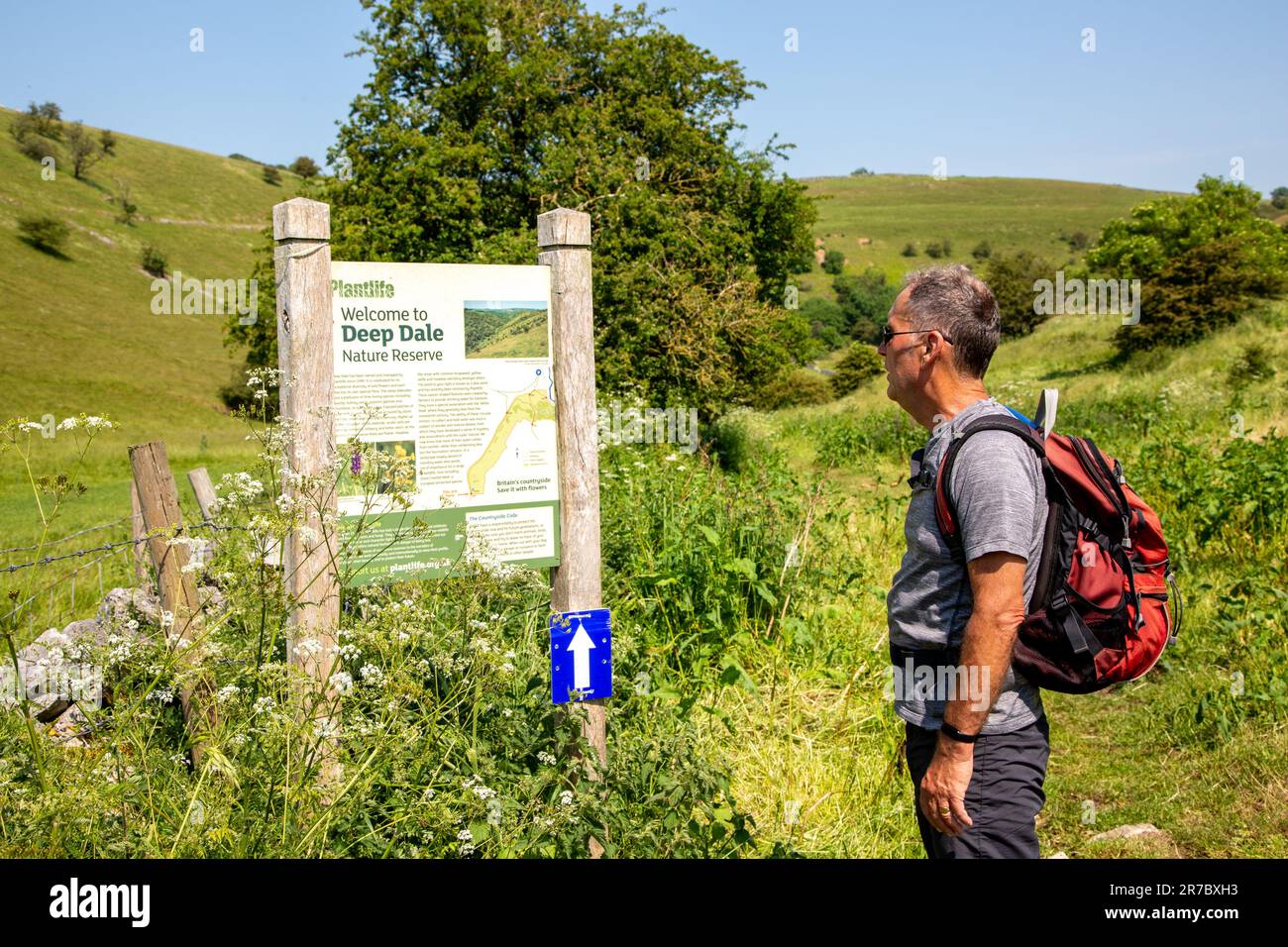 Uomo che cammina per la bellezza delle Derbyshire Dales sosta di Deep Dale vicino a Bakewell nel Peak District Inghilterra Foto Stock