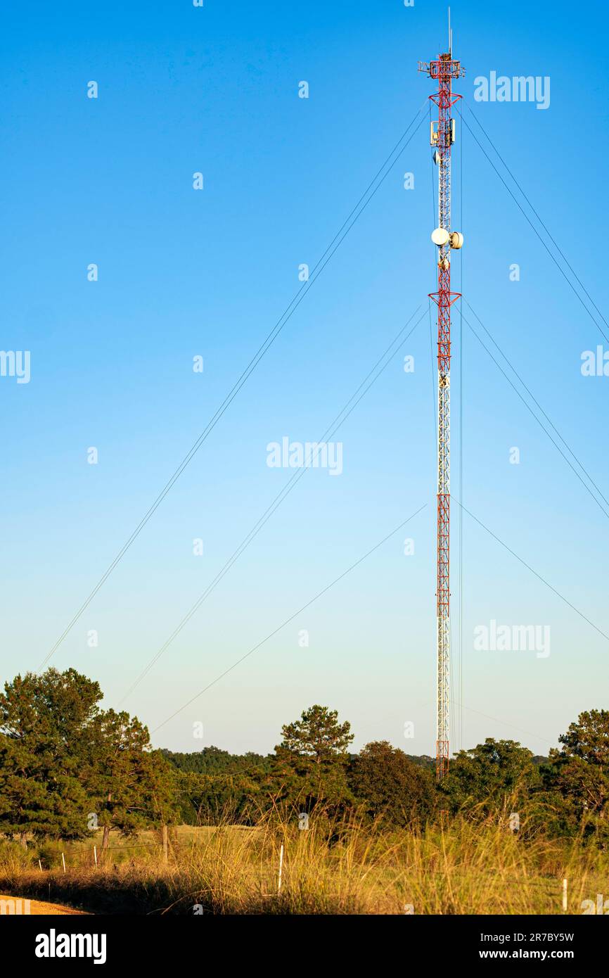 La torre del telefono cellulare in Alabama rurale sorge in alto nel cielo in un pascolo di mucca. Foto Stock