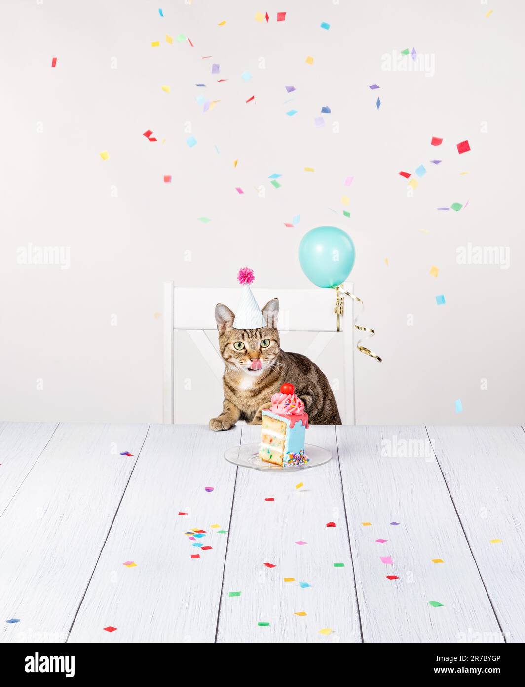 Gatto affamato con cappello di compleanno siede al tavolo e lecca le labbra in attesa di una fetta di torta con confetti e palloncini. Foto Stock