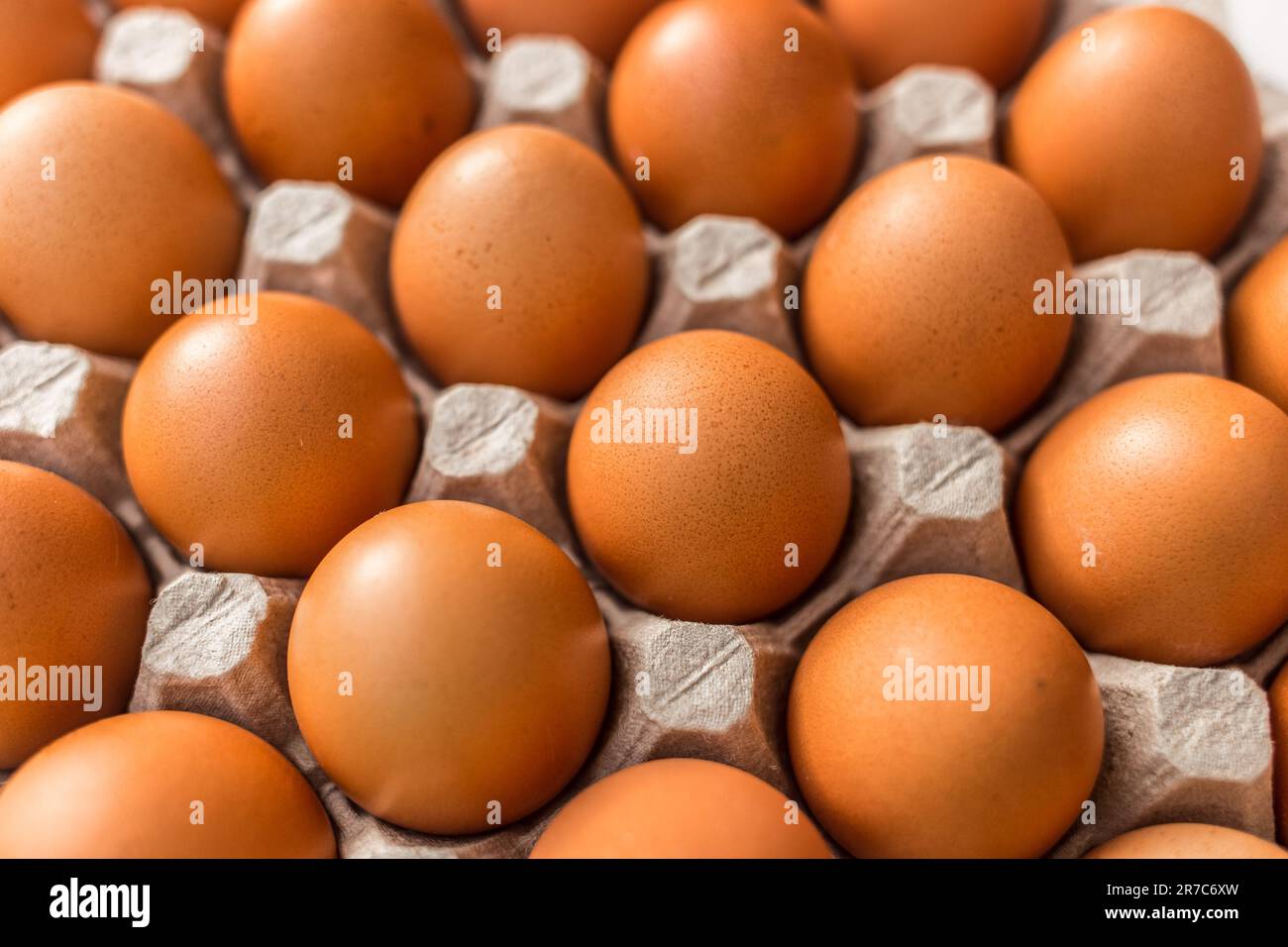 Uova brune di pollo crude in un vassoio di cartone uova sfondo fattoria. Foto Stock