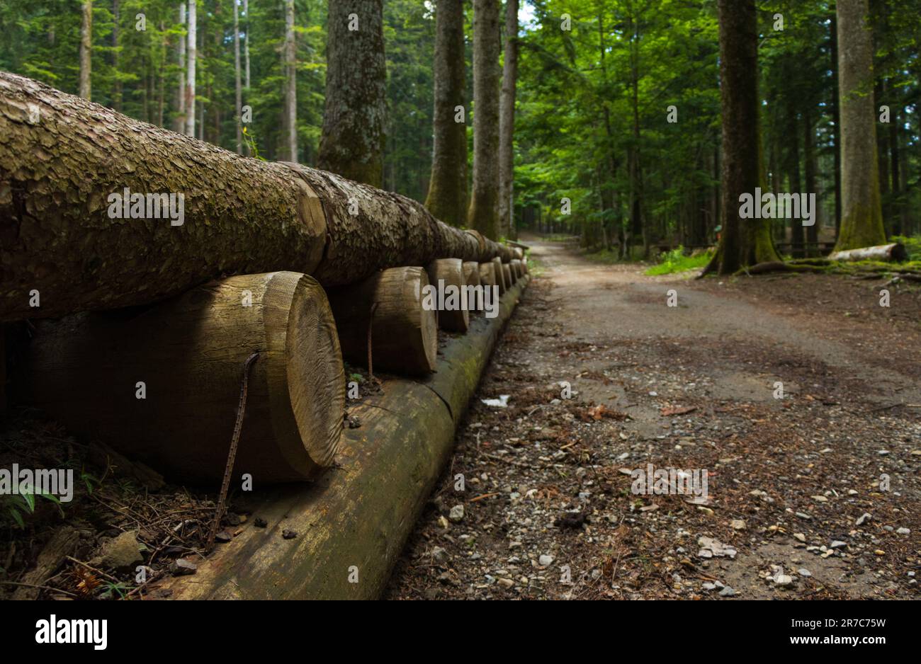 Una particolare recinzione lignea di un sentiero nei boschi di Vallombrosa, Firenze, Toscana, Italia Foto Stock