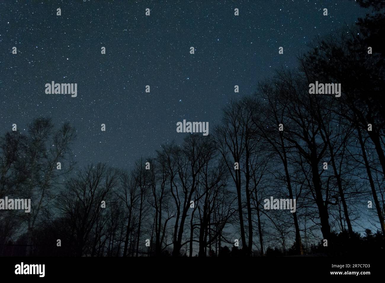 Foto di un cielo limpido di una notte su una linea costiera nel Maine rurale Foto Stock