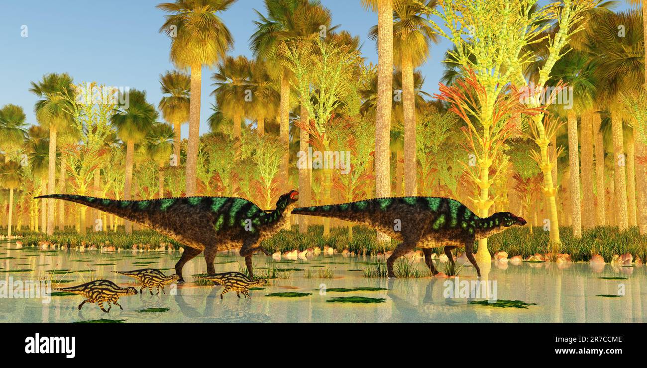 Due dinosauri Maiasaura Hadrosaur scortano i loro giovani attraverso una palude durante il periodo cretaceo. Foto Stock