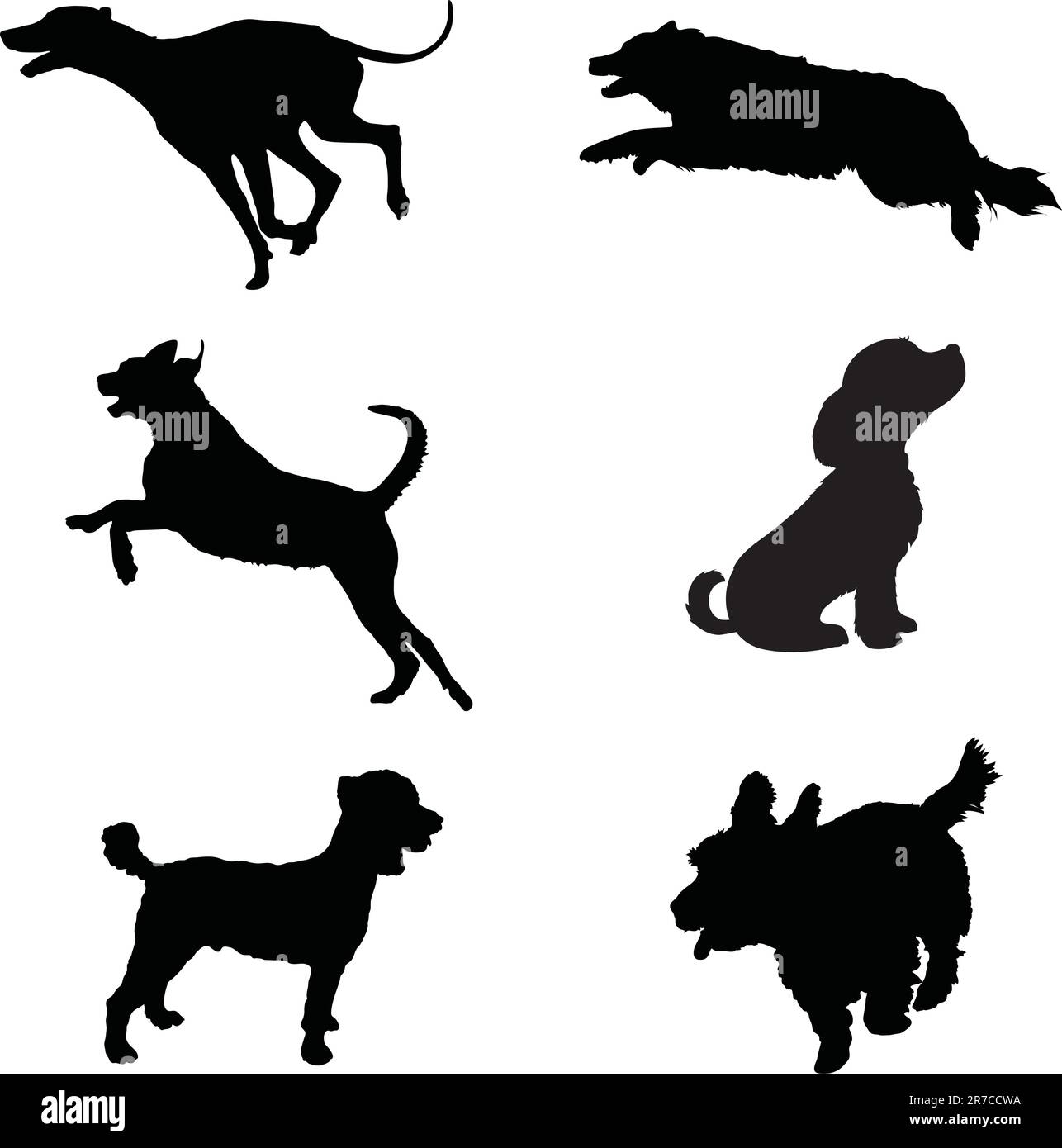 Sei silhouette nera di cani a giocare Illustrazione Vettoriale