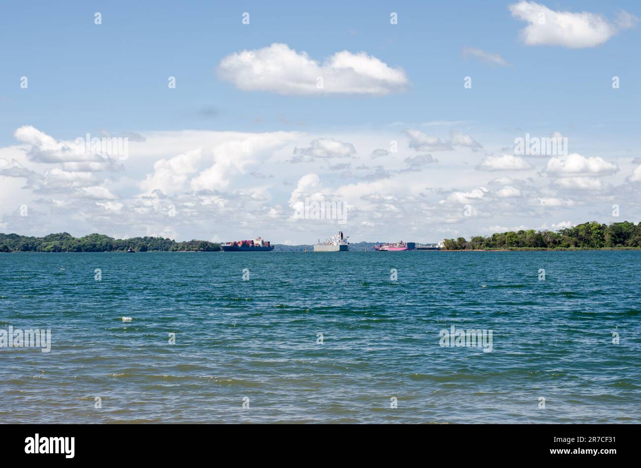 Lago Gatun. Le navi viste in lontananza attendono il passaggio attraverso il Canale di Panama Foto Stock