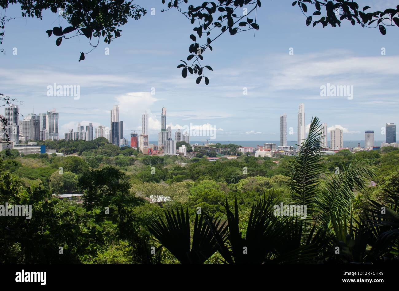 Skyline di Panama City circondato da una foresta tropicale Foto Stock