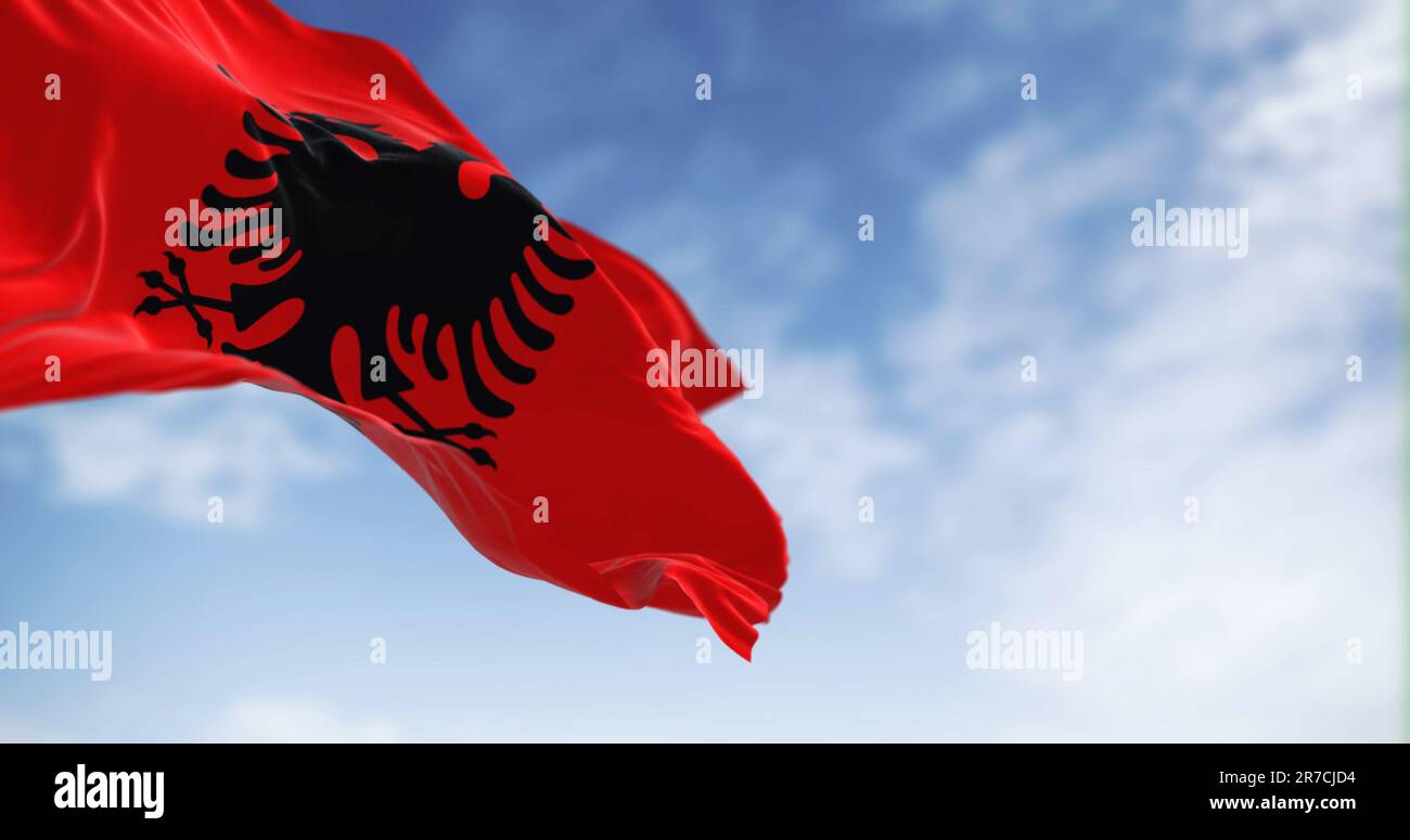 Bandiera nazionale albanese che sventola nel vento in una giornata limpida. Bandiera rossa con aquila nera a due teste. rendering dell'illustrazione 3d. Messa a fuoco selettiva. fa svolazzante Foto Stock
