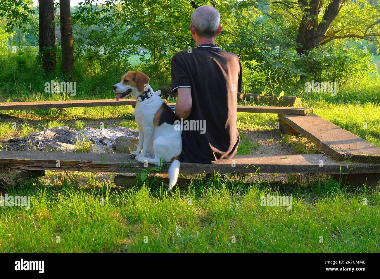 Un uomo e il suo cane seduti su una panchina in natura. Concetto di devozione e lealtà del cane. Foto Stock