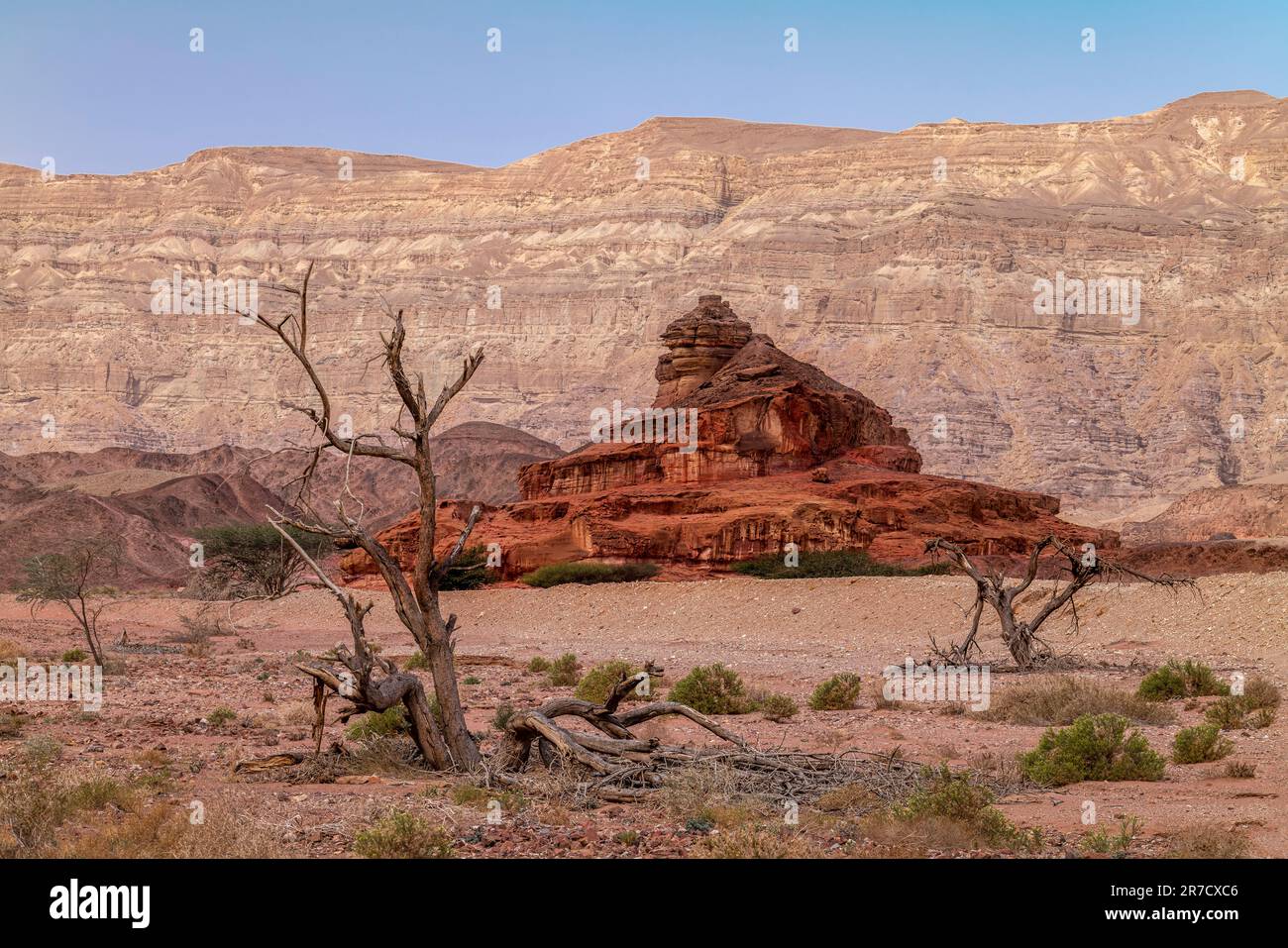 LA SPIRALE COLLINA TIMNA PARK TIMNA NEGEV ISRAELE Foto Stock