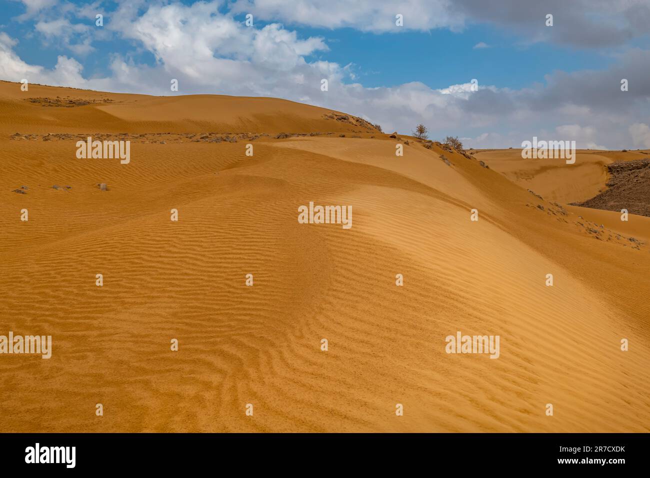 KASUY SANDS SHAYAROT SCOGLIERE RISERVA NATURALE ARAVA NEGEV ISRAELE Foto Stock