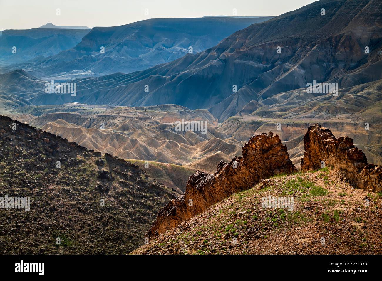 RISERVA NATURALE DELLA VALLE DI ZIN NEGEV ISRAELE Foto Stock